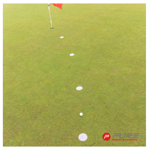 Pure2Improve Putting 'Ghost' Holes (x4)